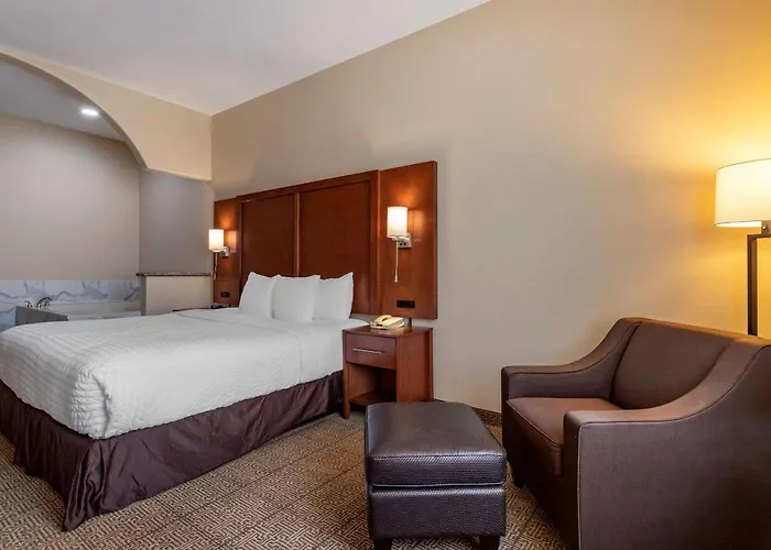 Comfort Suites Near Texas Medical Center - Nrg Stadium