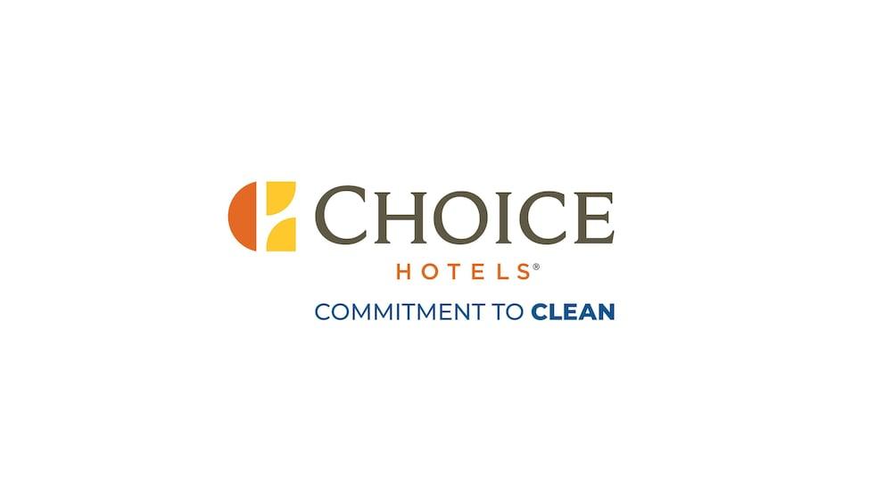 Comfort Near Texas Medical Center - Nrg Stadium Hotel