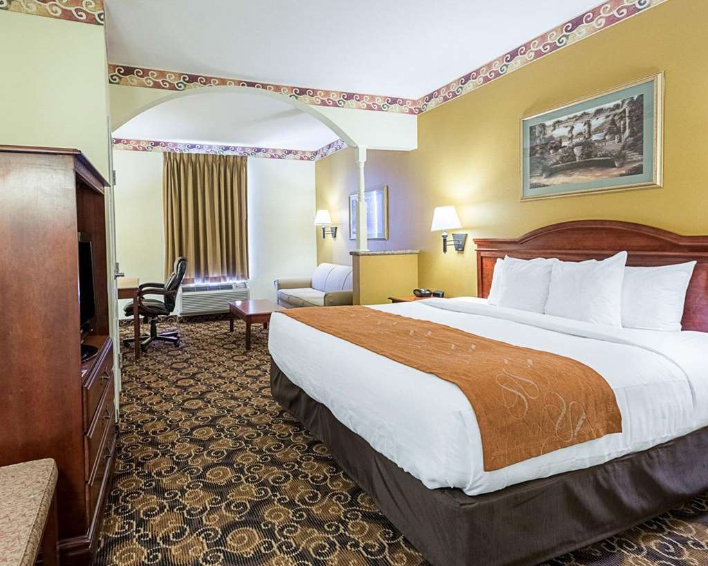 Comfort Near Texas Medical Center - Nrg Stadium Hotel