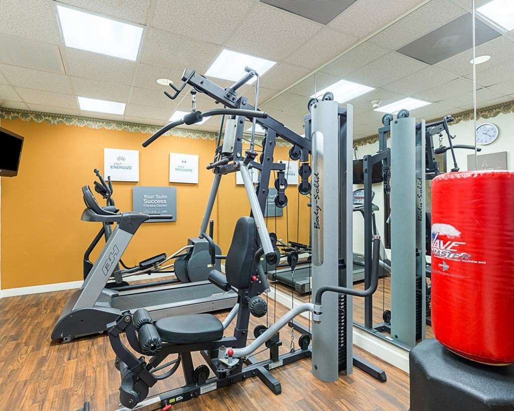 Comfort Near Texas Medical Center - Nrg Stadium Hotel 3*