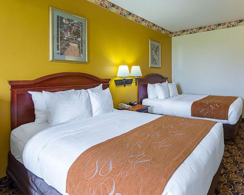 Comfort Near Texas Medical Center - Nrg Stadium Hotel Houston