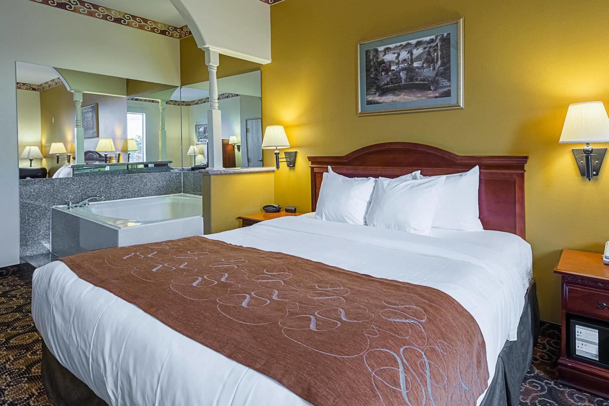 Comfort Near Texas Medical Center - Nrg Stadium Hotel 3*