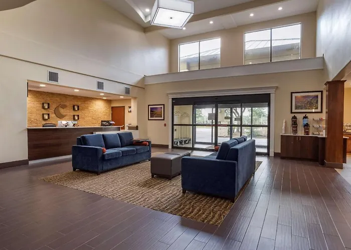 Comfort Suites Near Texas Medical Center - Nrg Stadium